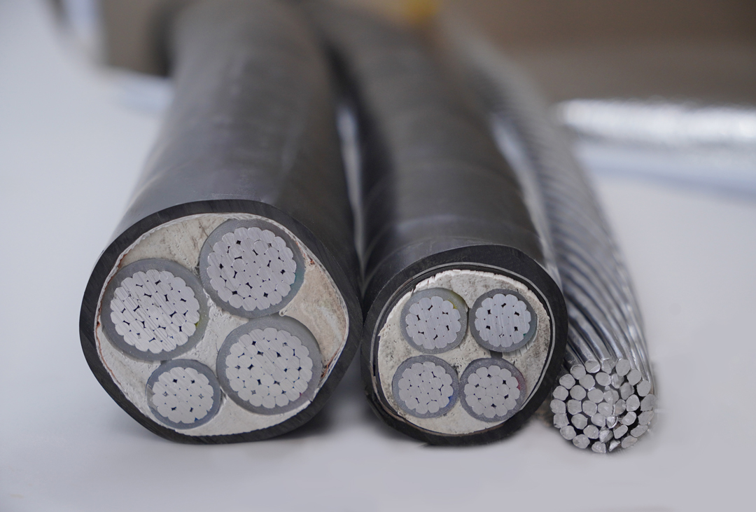 尊时凯龙·Z6(中国区)人生就是拼搏!