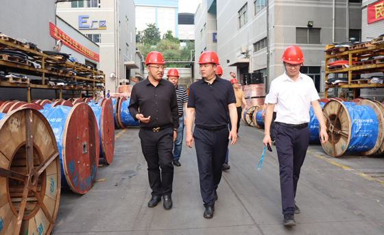 应急治理部四川消防研究所、东莞市质检中心一行莅临尊时凯龙电缆调研指导
