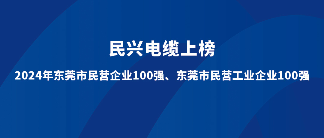 民兴位列第15位！2024年东莞市民营工业企业100强榜单宣布