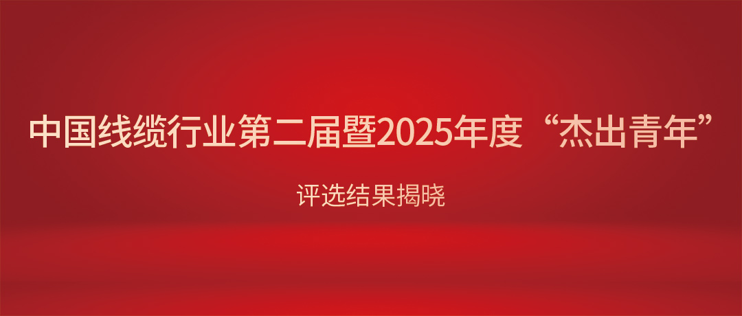 热烈祝贺民兴电缆总司理杨彦荣获中国线缆行业“优异青年”！
